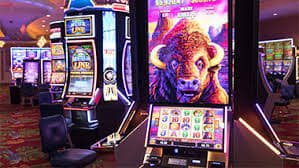 560bet